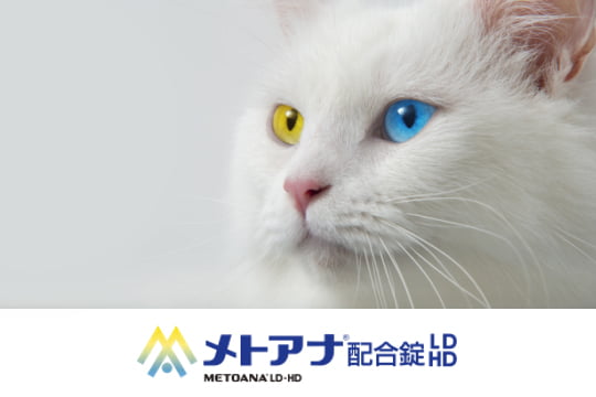 メトアナ®配合錠