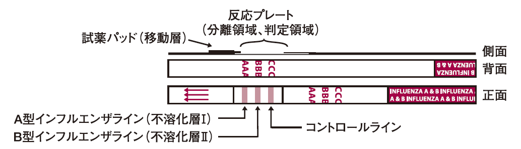 製品詳細情報 クリアビュー Influenza A B 機器 診断薬一覧 機器 診断薬 三和化学研究所